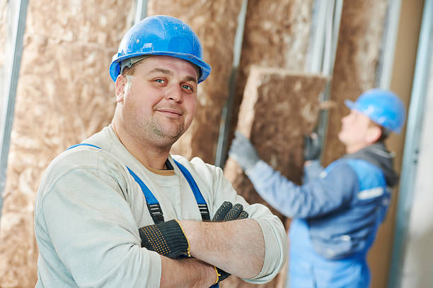 Best Insulation Installation Services in Valley Park, MO