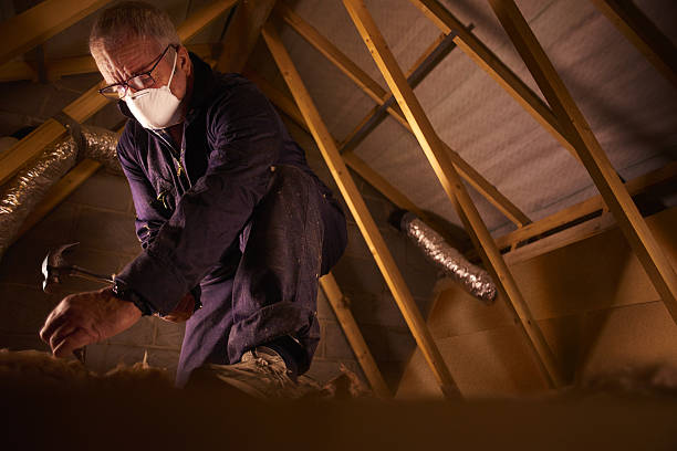 Best Specialty Insulation in Valley Park, MO